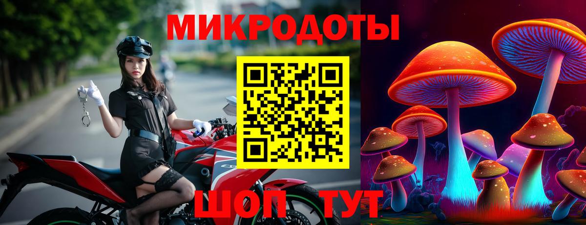 Галлюциногенные грибы Psilocybine cubensis  Вход с VPN  Псилоцибиновые грибы GOLDEN TEACHER  Чита 