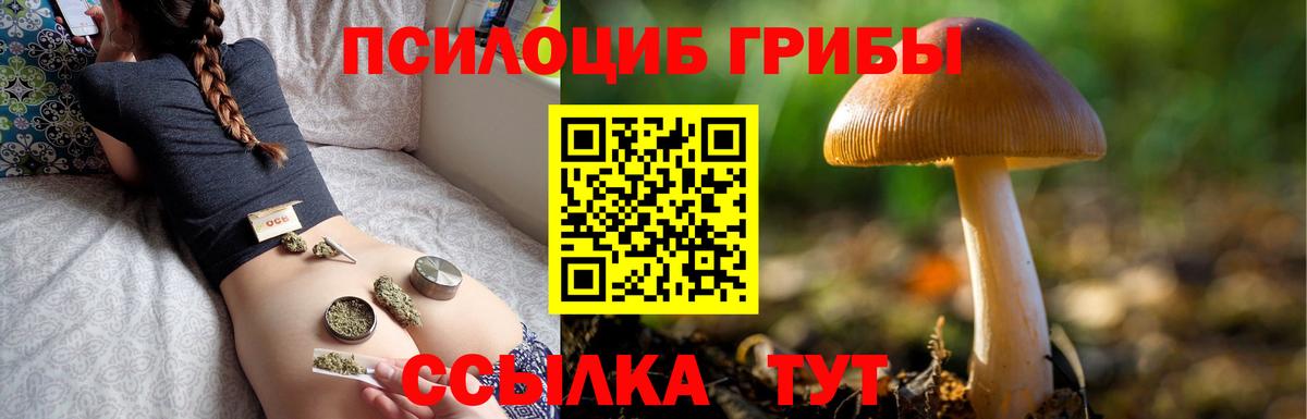 Галлюциногенные грибы ЛСД Чита